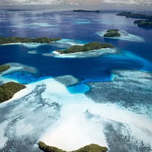 Jellyfish Lake Jellyfish Lake