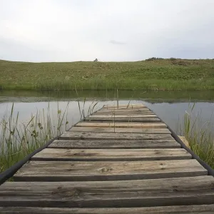 Jetty Surrounded by Rural Fishing Landscape