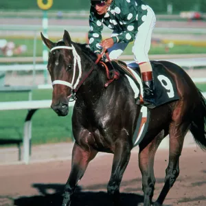 Images Dated 1982 October: 25 Oct 1982