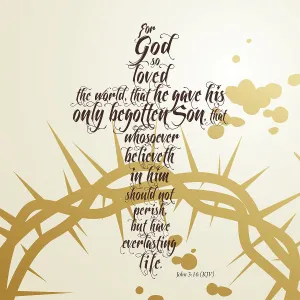 John 3:6