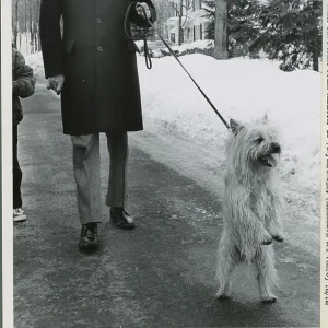 Images Dated 1971 March: 25 Mar 1971