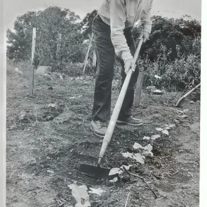 Images Dated 1975 September: 28 Sep 1975