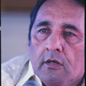 Images Dated 1981 January: 11 Jan 1981