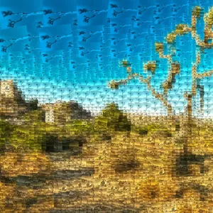 Joshua Tree Mosaic Joshua Tree Mosaic
