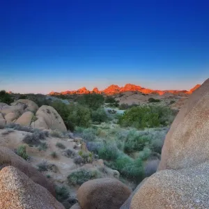 Joshua Tree National Park Print: Rising Sun on Rock Formation Joshua Tree National Park Print: Rising Sun on Rock Formation