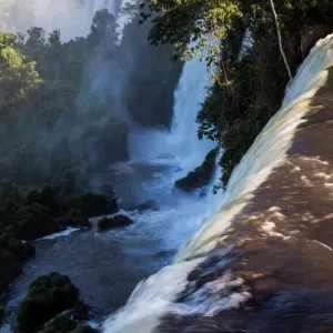 Iguazu Falls Jungle Print Iguazu Falls Jungle Print
