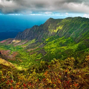 Kalalau Valley Lookout