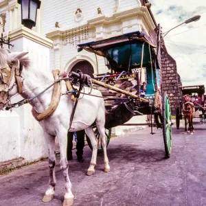 Vigan Cathedral Kalesa Print Vigan Cathedral Kalesa Print