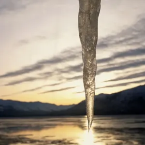 Kenai Mountain Range, Icicle in Foreground Kenai Mountain Range, Icicle in Foreground