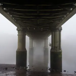 Architecture Prints: World Famous Bridges