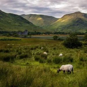 Kilchurn Castle, Scotland Kilchurn Castle, Scotland