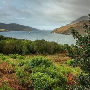 Killary fjord, Wild Atlantic Way Killary fjord, Wild Atlantic Way