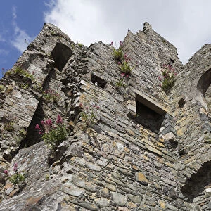 King Johns Castle, Carlingford, Cooley Peninsula, County Louth, Republic of Ireland, Europe