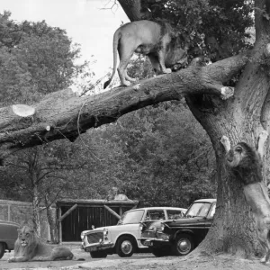 Images Dated 1970 October: 5 Oct 1970