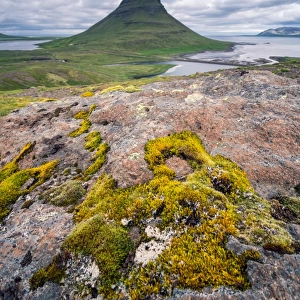 Kirkjufell mountain with beautiful rock foreground