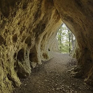 Klauskirche cave, Betzenstein, Little Switzerland, Upper Franconia, Franconia, Bavaria, Germany, Europe