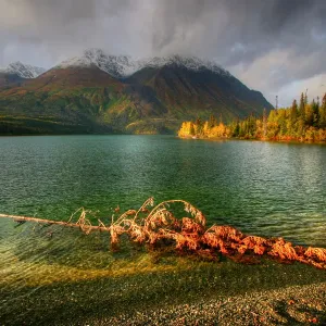 Kluane Morning