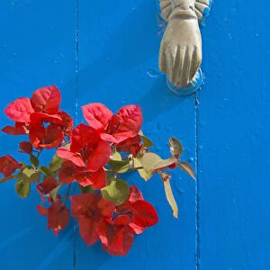 Knocker and flowers on blue door, Sidi Bou Said
