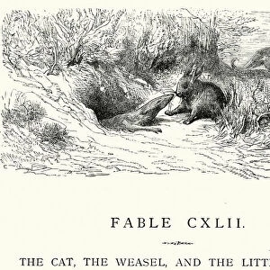 La Fontaines Fables - Cat Weasel and the Little Rabbit