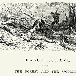 La Fontaines Fables - Forest and the Woodman
