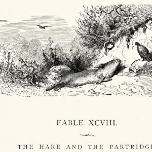 La Fontaines Fables - Hare and the Partridge