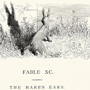 La Fontaines Fables - The Hares Ears