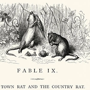 La Fontaines Fables - The Town Rat