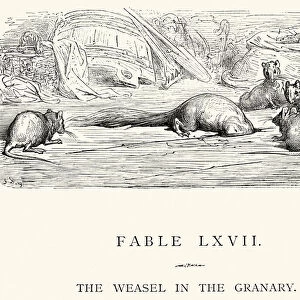 La Fontaines Fables - Weasel in the Granary