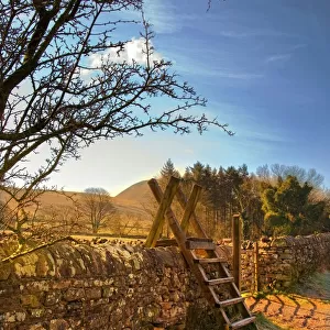 Ladder over stone wall, Lake District, Cumbria, England