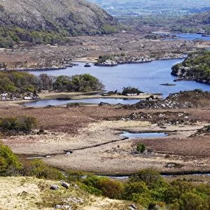 Ladies View, Upper Lake, Killarney National Park, County Kerry, Ireland, British Isles, Europe