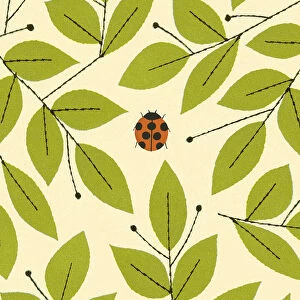 Ladybug and Leaves