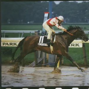 Images Dated 1982 June: 5 Jun 1982