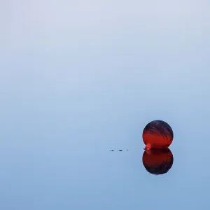 On the lake On the lake