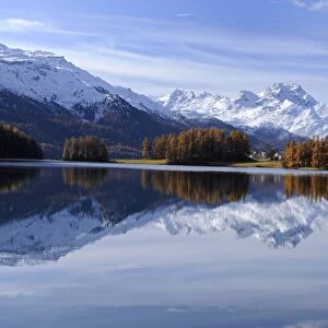 Lake Champfer with larch forest with autumnal colouring, St. Moritz, Engadine, Grisons, Switzerland, Europe