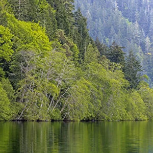 Lake Crescent landscape, Olympic National Park, Washington State, USA