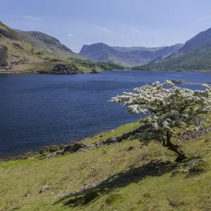 Lake of Crummock Water, Lake District National Park, Cumbria, England, United Kingdom Lake of Crummock Water, Lake District National Park, Cumbria, England, United Kingdom