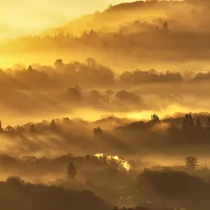 Lake District Winter woodland sunrise UK Lake District Winter woodland sunrise UK