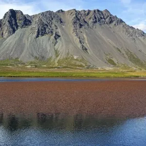 Lakeland with volcanic mountain, peninsula Snaefellsnes, Snaefellsnes, West Iceland Lakeland with volcanic mountain, peninsula Snaefellsnes, Snaefellsnes, West Iceland