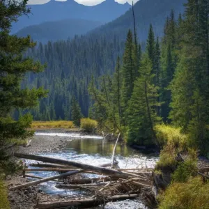Lamar River Print, Yellowstone National Park Landscape Lamar River Print, Yellowstone National Park Landscape
