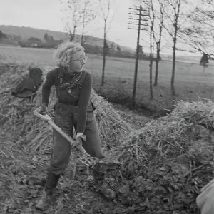 Land Girl At Work Land Girl At Work