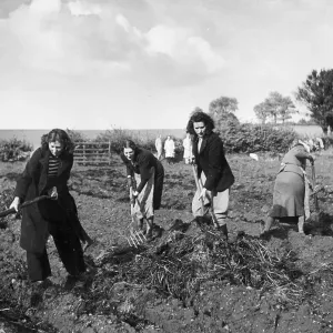 Land Girls Land Girls