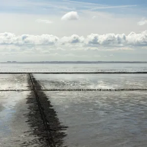 Land reclamation on the North Sea by groynes and fascines, North Frisia, Schleswig-Holstein, Germany, Europe, PublicGround