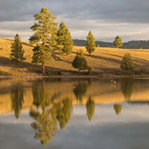 Landscape with Harpers Lake, Montana, USA