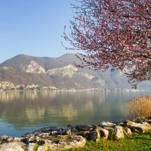 landscape of Iseo lake in spring landscape of Iseo lake in spring