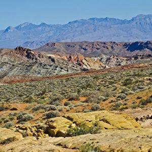Landscape seen from Mouse Tank Road looking north, Valley of Fire State Park, Nevada, USA