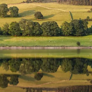 Landscape symmetry, Ladybower reservoir