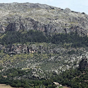 Landscape in the Tramuntana Mountains, Majorca, Balearic Islands, Spain