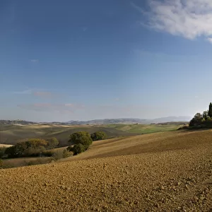 Landscape of Val d Orcia with dirt road, rolling hills and a house with cypress trees