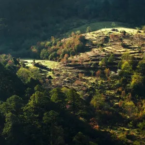 Landscape view of North Sikkim, India Landscape view of North Sikkim, India