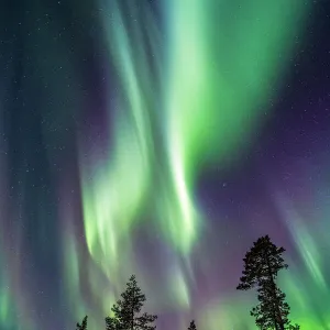 Lapland Aurora